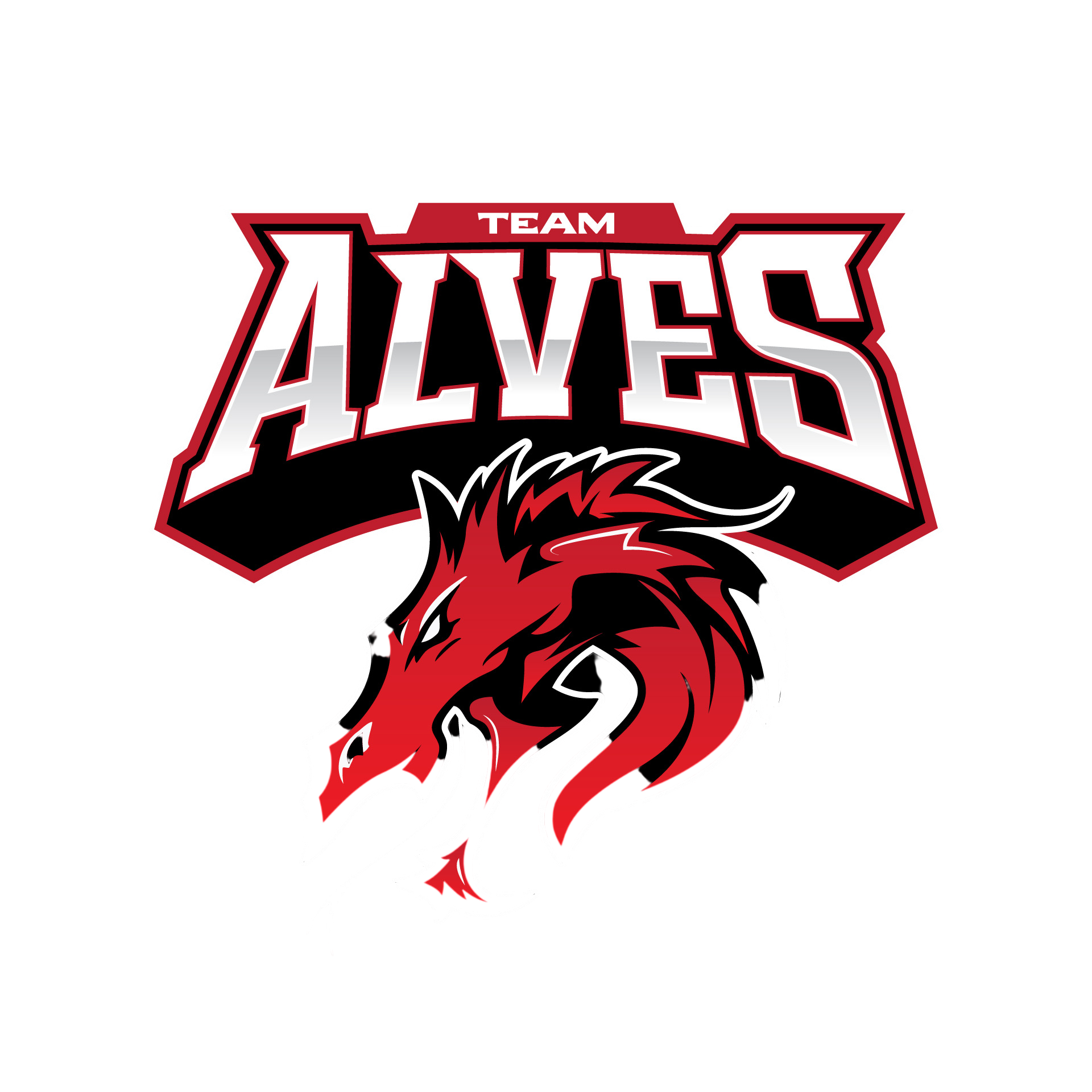 Team Alves